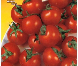 Seminte Tomate Red Cherry